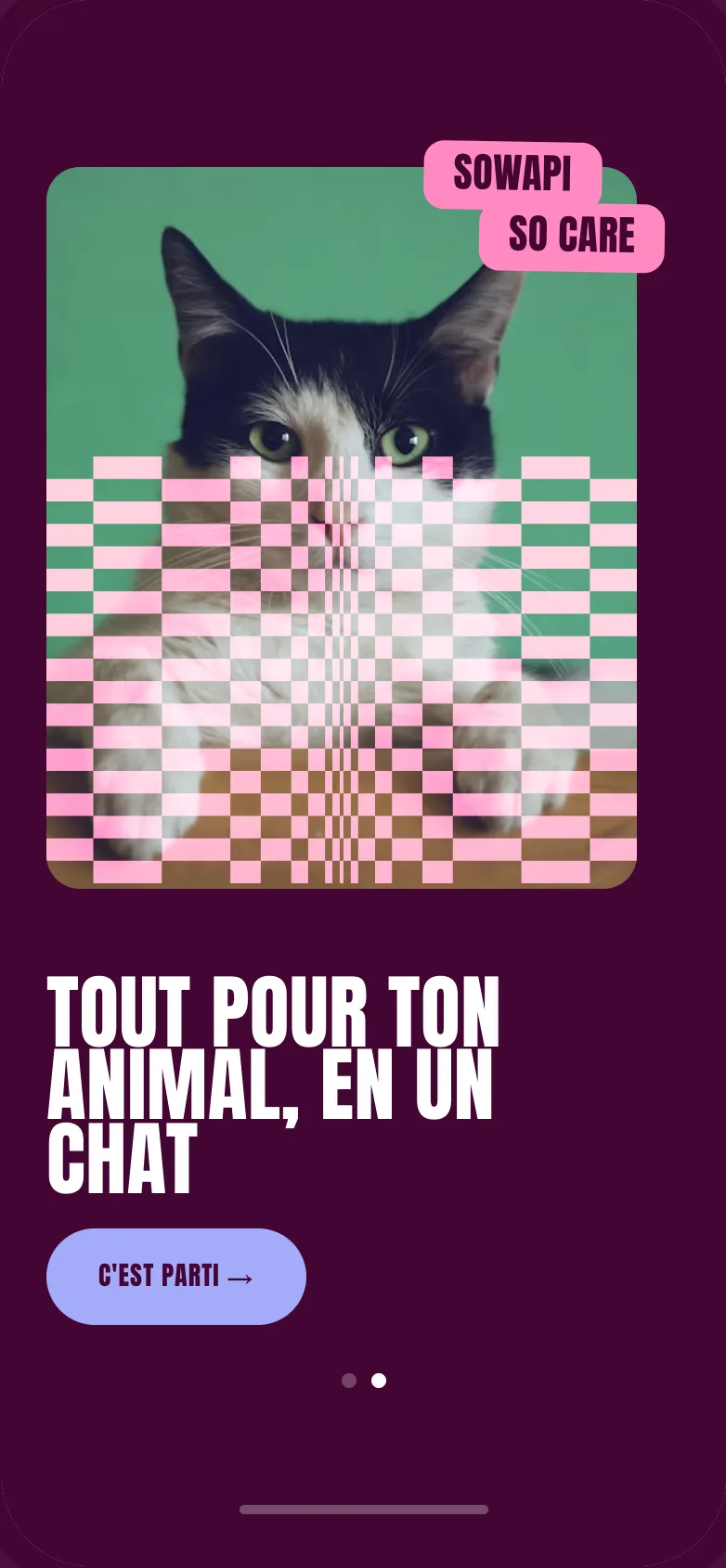 Welcome: everything for your pet, in one chat